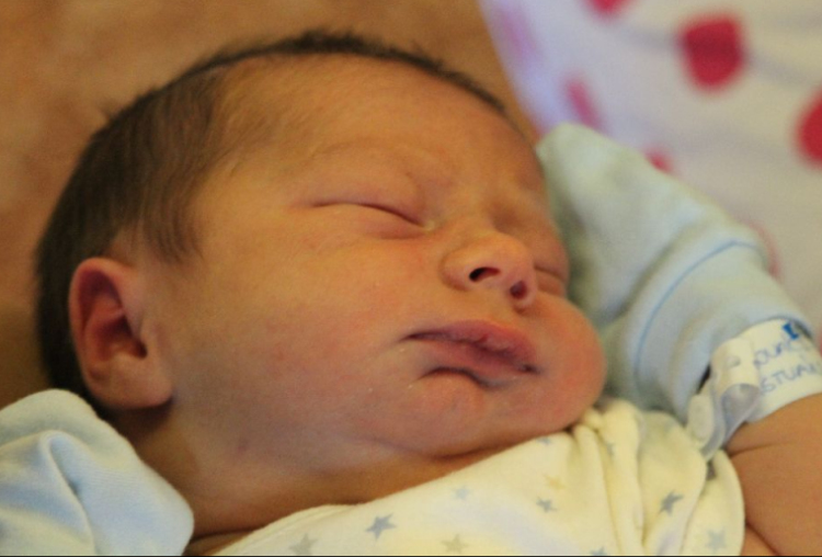 Kovács-Forisek István Nimród 