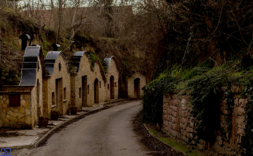 Vince-napi pincejárás a Pannonhalmi Borvidéken