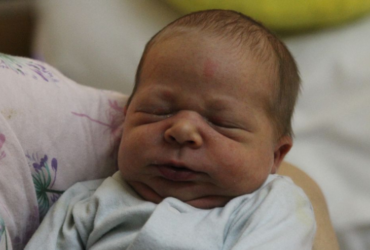 Molnár Erik József 