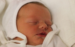 Zsellér Zsóka Anna 