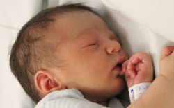 Pálinkás Dominik Zoltán 