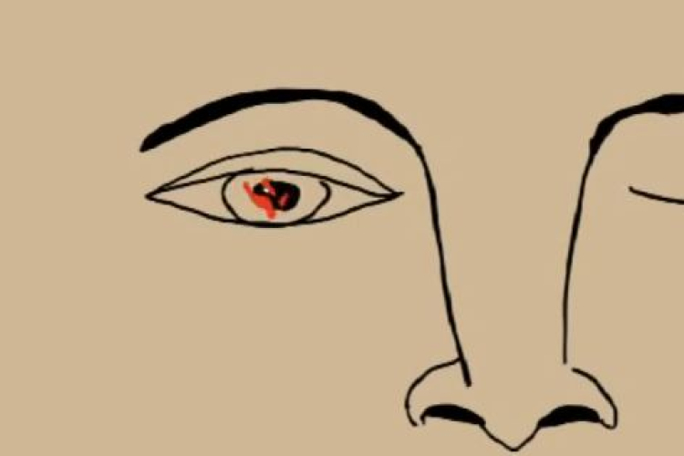 Győri lány nyert az ENSZ rövidfilm pályázatán- VIDEÓVAL