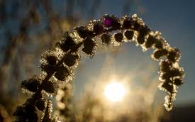 Nyári meleggel köszönt be a november