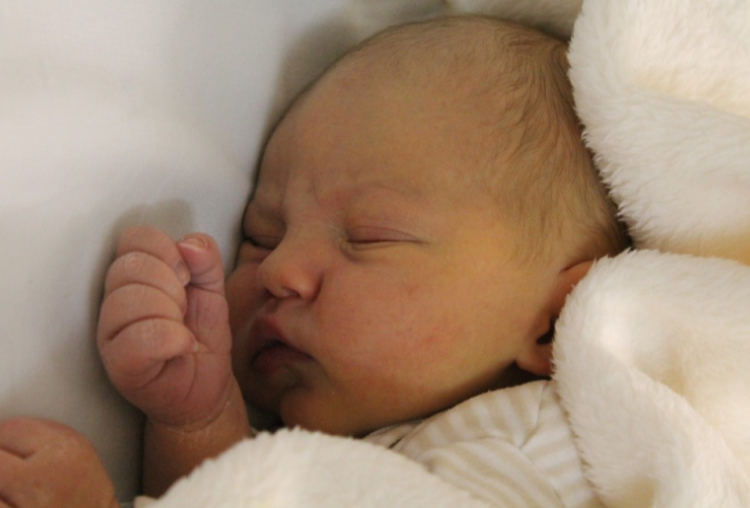 Kálmám-Szemenkár Bertalan