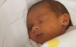 Bognár Zsanett Gyöngyi