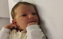 Gaszler Johanna Klaudia