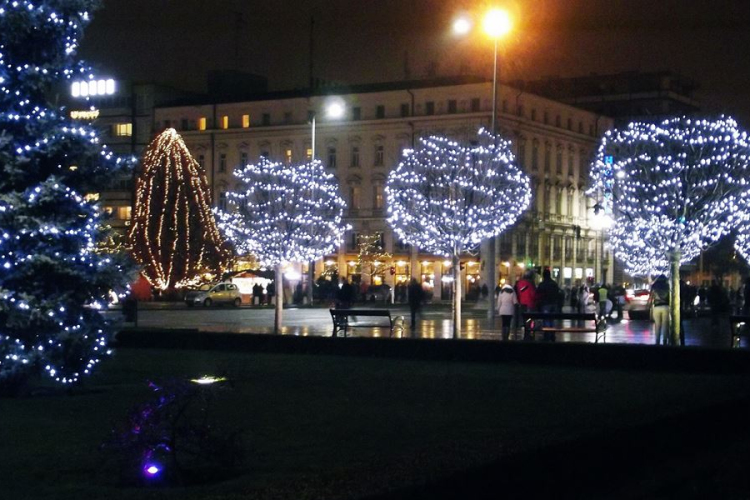 Harminckilenc karácsonyfája lesz Győrnek