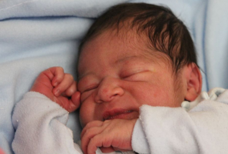 Járóka Milán Róbert 