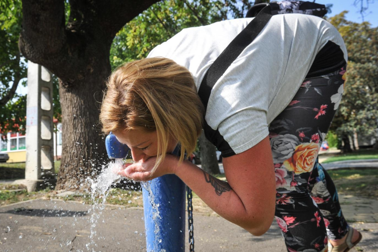 Fertőzött víz okozott tömeges megbetegedést