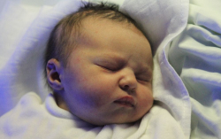 Streichanovecz Viktória 