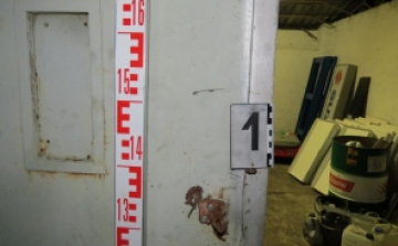 Tetten érték a tolvajokat