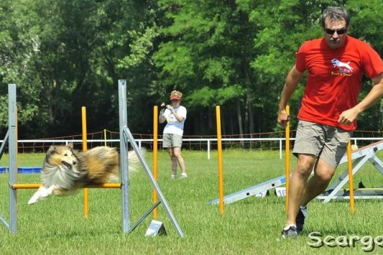 AZ A-TEAM AGILITY GYŐR CSAPATA ISMÉT MEGRENDEZI AZ  ARRABONA  AGILITY  KUPÁT