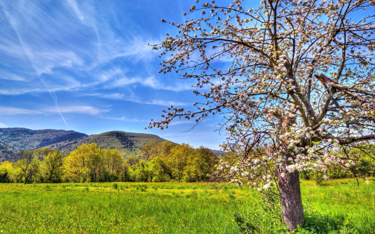 Hétvégére 20 fokot ígérnek