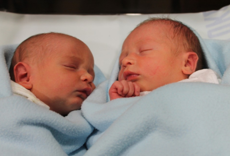 Bárány Borisz és Bárány Iván