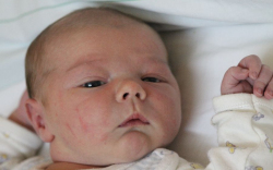 Polauf Rafael József