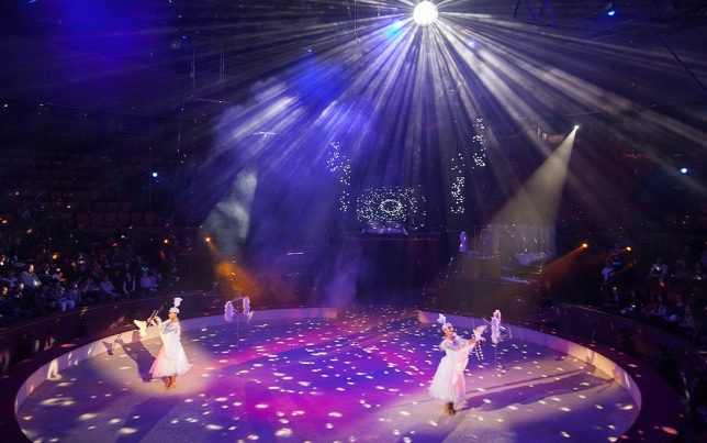 Több ezer általános iskolást lát vendégül a Fővárosi Nagycirkusz