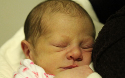 Bognár Karolina Hanna 