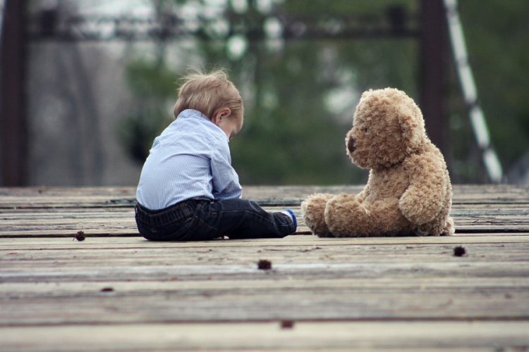 Külföldre is eljutott a macigyűjtő akció híre 