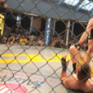 2015.05.09. Profi MMA Gála fotók:árpika