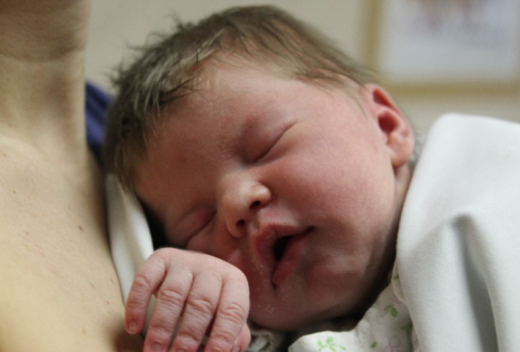 Rózsavölgyi Jázmin