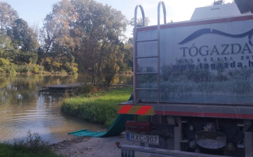 Pontytelepítés: Öt helyre összesen 5000 kilogramm