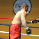 2013.02.16.Szombat Profi MMA És Box Mérkőzés Fotók:árpika