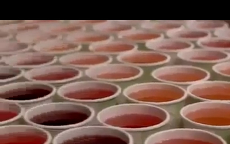 Ezt a videót látnod kell, főleg ha sörös vagy!