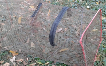 Kizárólag halászjegy vagy halászati engedély birtokában használható a csalihalfogó varsa