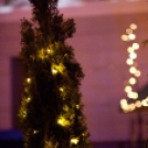 Felgyúltak az ünnepi fények Győr belvárosában