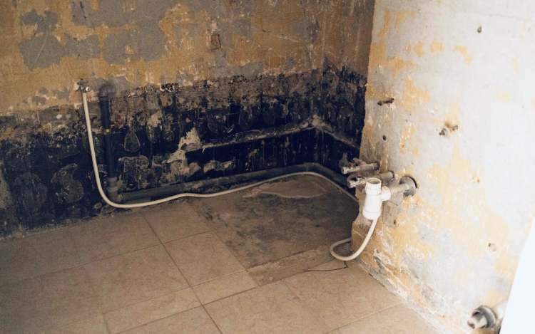 Elindultak a lakásfelújítások Győrben