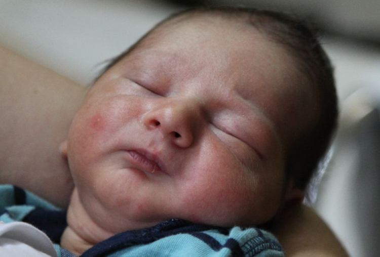 Halász Gábor Vazul 