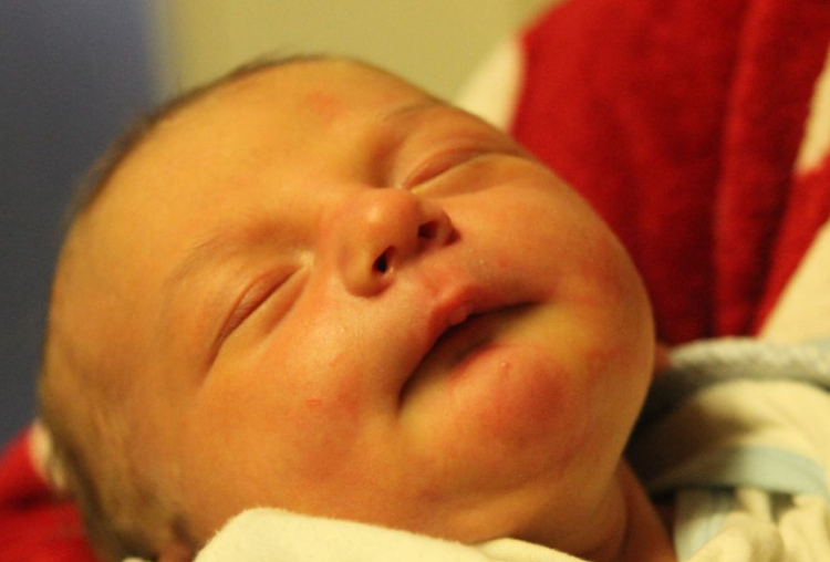 Benedek Kristóf Patrik 