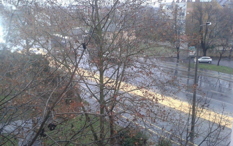 Kukorica folyt ki a Szigethy Attila útra, nem kevés