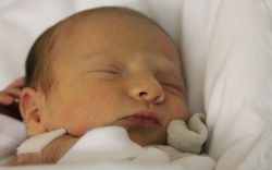 Ledvay Mátyás Levente