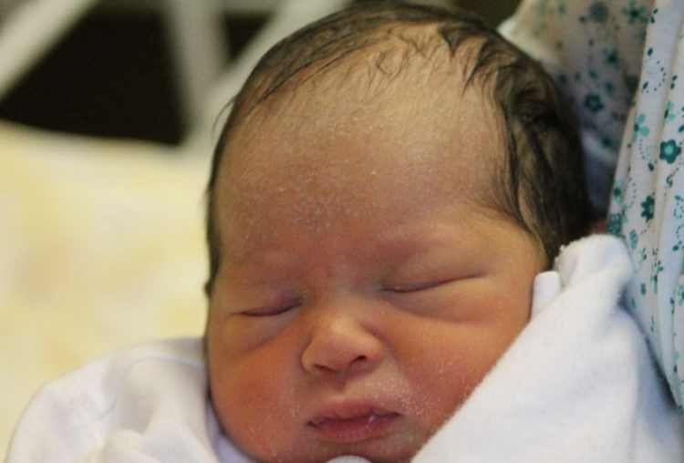 Horváth-Pataki Tamara 