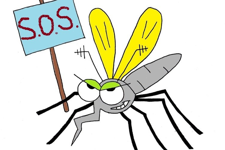 Ismét retteghetnek a vérszívók