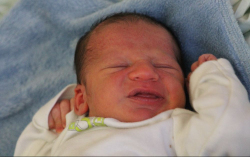 Gyömörei Viktória 