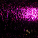 2019.11.23.Follow The Flow Aréna show Fotók:árpika