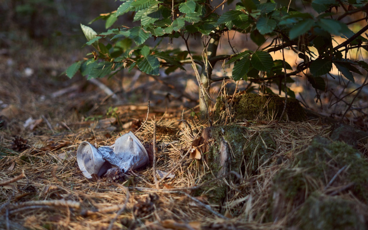 Erdőtisztító kihívást indítanak országszerte