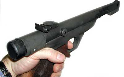 Légpuskával lövöldözött