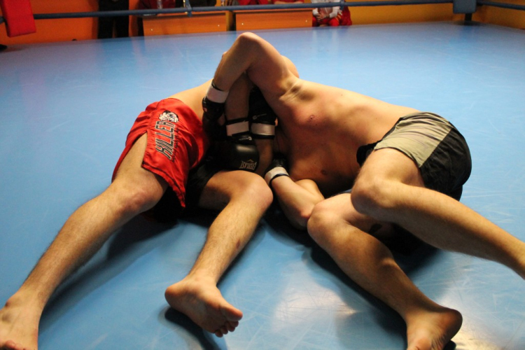 2013.02.16.Szombat Profi MMA És Box Mérkőzés Fotók:árpika