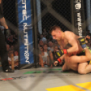 2015.05.09. Profi MMA Gála fotók:árpika