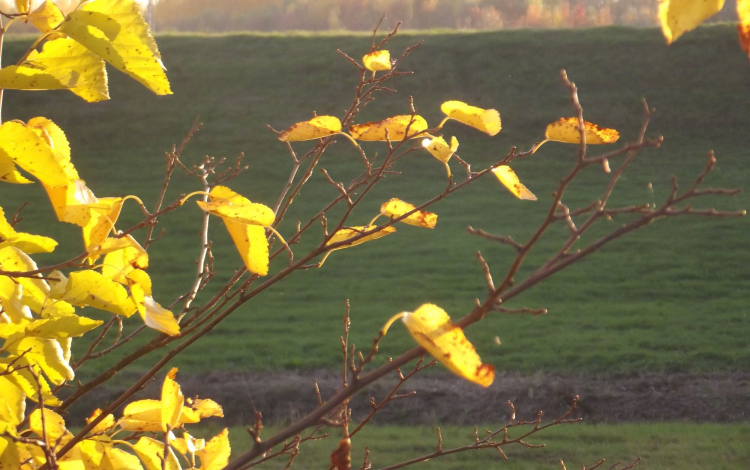 Nappal megsülünk, éjjel megfagyunk – Ez vár ránk a héten