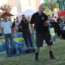 2013.06.23.Vasárnap SzFeszt 4.nap Fotók.árpika