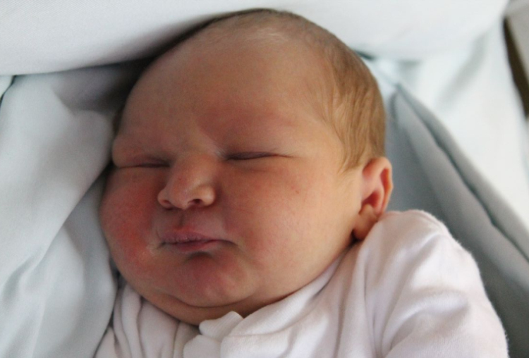 Juhász Koppány Dávid