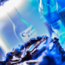 Születésnaposok éjszakája