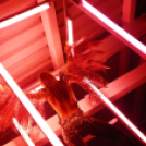 Club Mundo -  Julia Carpenter 2013.05.11. (szombat) (1) (Fotók:Vertigo)