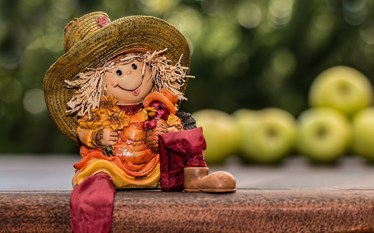 Kerti munkák ősszel - mit tanácsol a szakember?