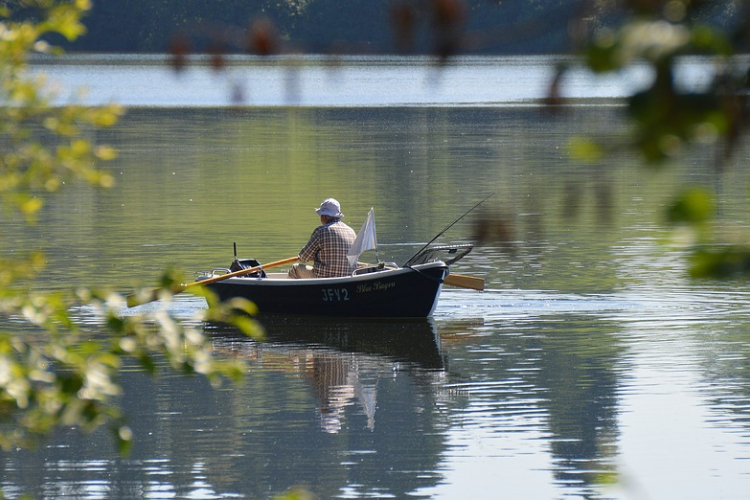 Horgászat a Rába mentén