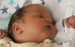 Horváth Máté Dániel